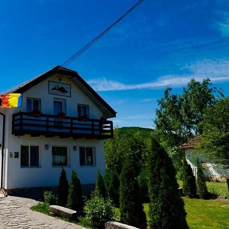 Pensiunea Casa Ghica Valea Sălciilor Exterior foto