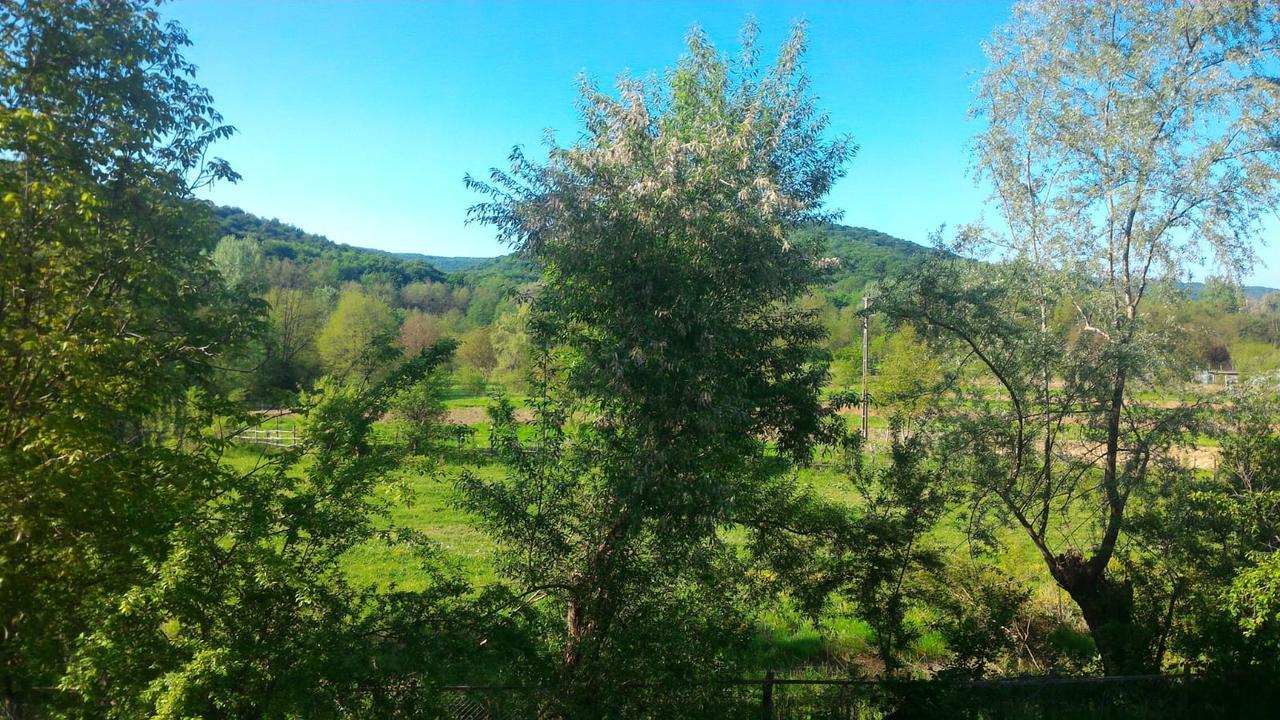 Pensiunea Casa Ghica Valea Sălciilor Exterior foto